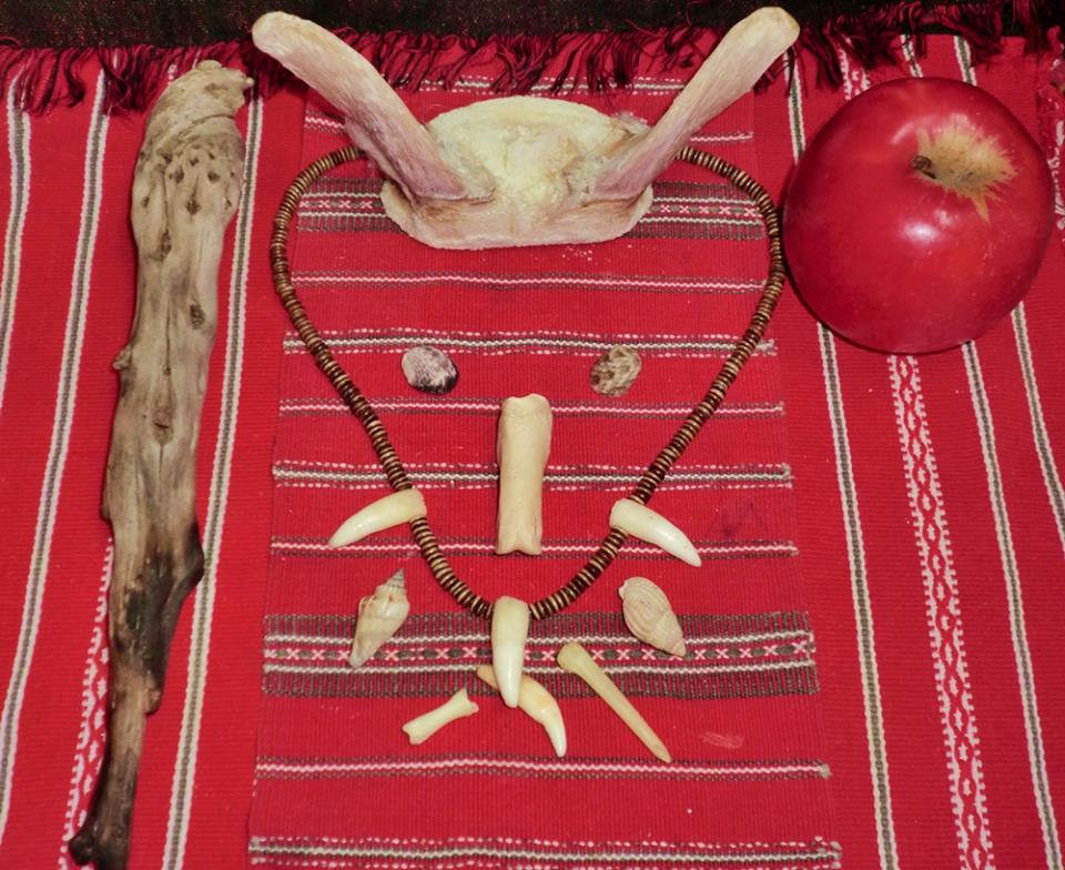 Arrangement of animal bones, horns and apple for witchcraft purposes. 