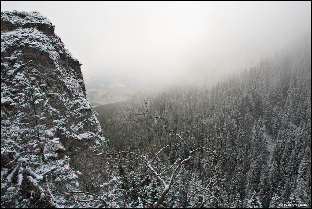 Mountain route from the Ceahlau Massif in Romania. Snow covered and misty wood landscape in the carpathian mountains
